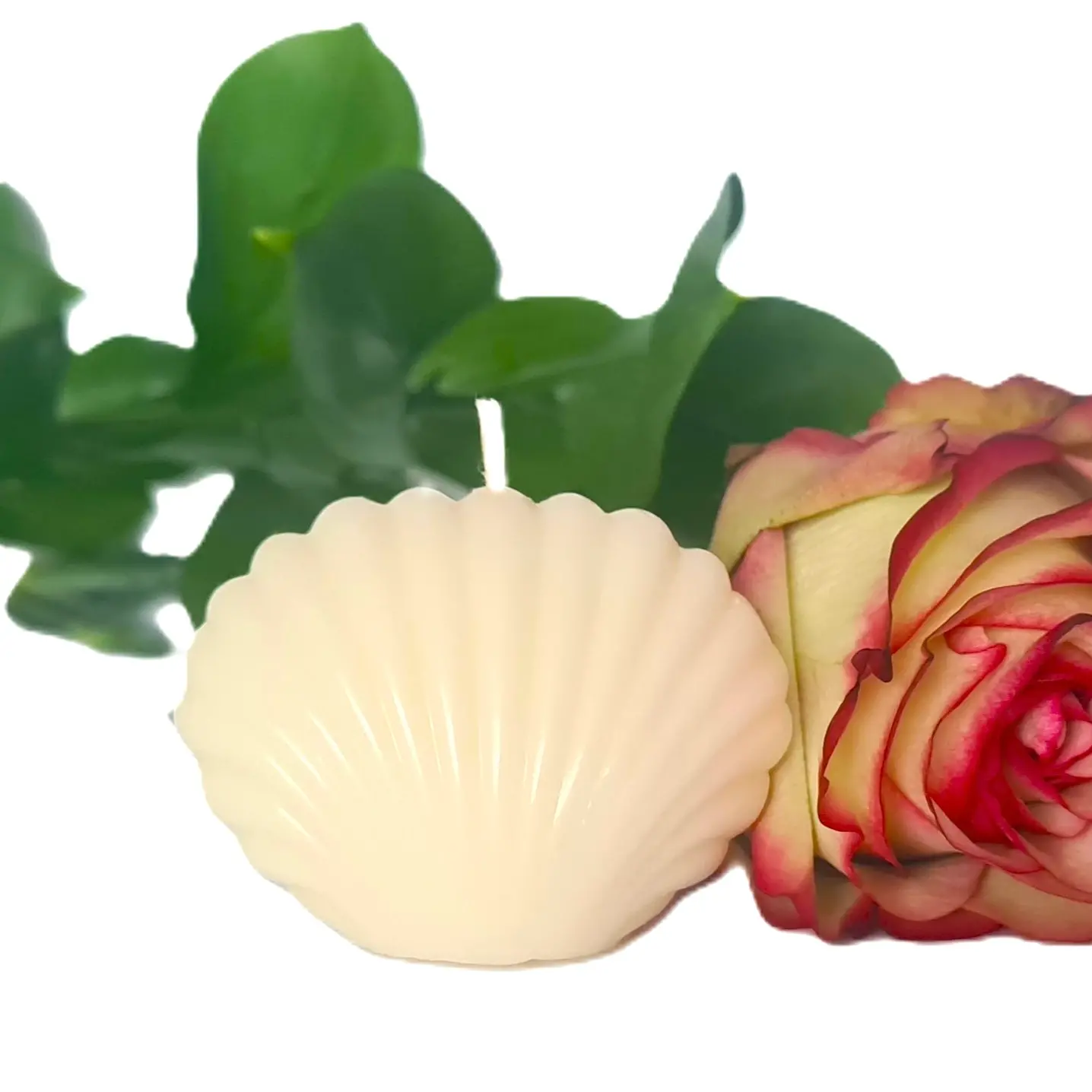 Świeca sojowa Muszelka 